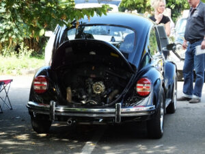 mybeetle21sept2014 (18)