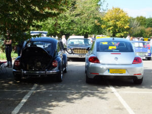 mybeetle21sept2014 (19)