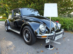 mybeetle21sept2014 (5)