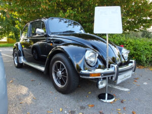 mybeetle21sept2014 (6)