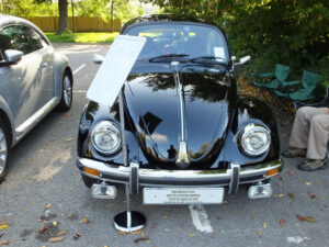 mybeetle21sept2014 (7)