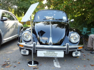 mybeetle21sept2014 (8)