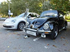 mybeetle21sept2014 (9)