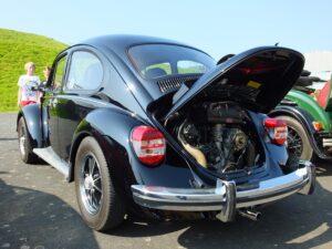 mybeetle5may2014 (10)