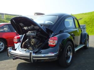 mybeetle5may2014 (11)