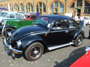 mybeetle5may2014 (12)