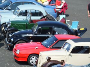 mybeetle5may2014 (13)