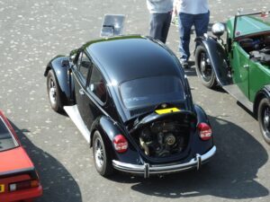 Bertie from above