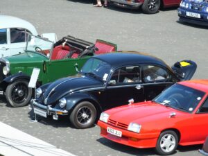 mybeetle5may2014 (16)