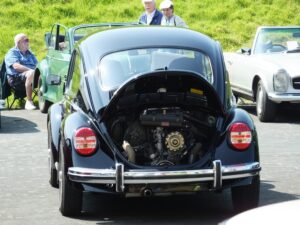 mybeetle5may2014 (17)
