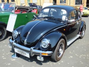 mybeetle5may2014 (18)