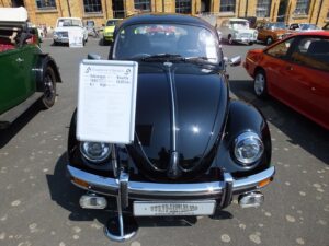 mybeetle5may2014 (19)