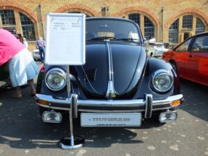 mybeetle5may2014 (2)