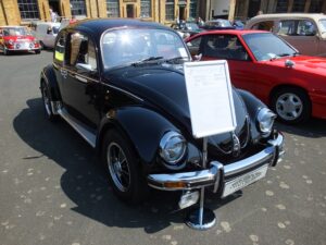 mybeetle5may2014 (20)