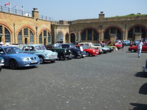 mybeetle5may2014 (21)