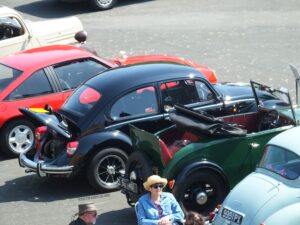 mybeetle5may2014 (22)