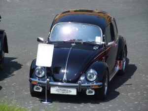 mybeetle5may2014 (23)