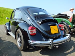 mybeetle5may2014 (4)