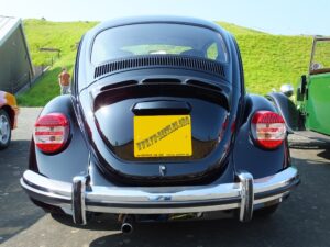 mybeetle5may2014 (5)