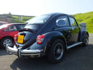 mybeetle5may2014 (6)