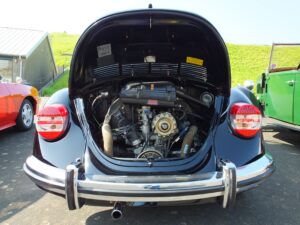 mybeetle5may2014 (8)