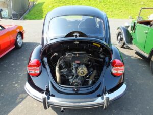 mybeetle5may2014 (9)